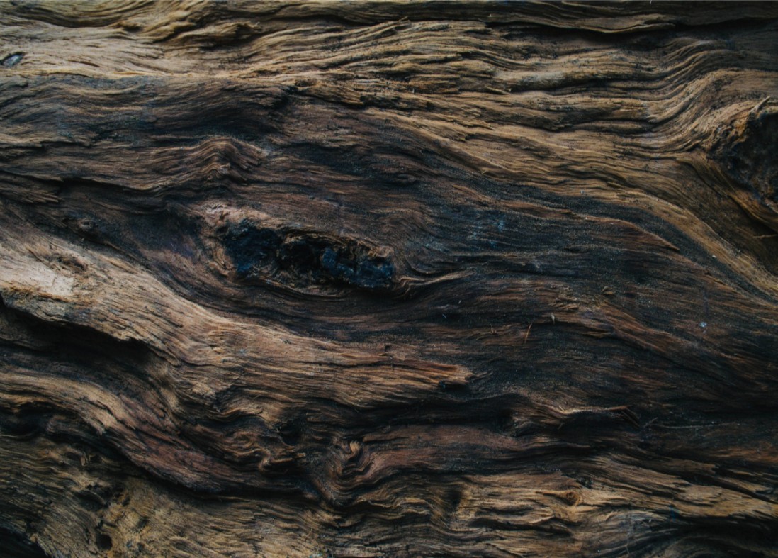 Wood Texture